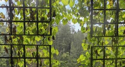 Lakefront Home, Hot tub, Fire Pit, Game Room, & Movie Room!