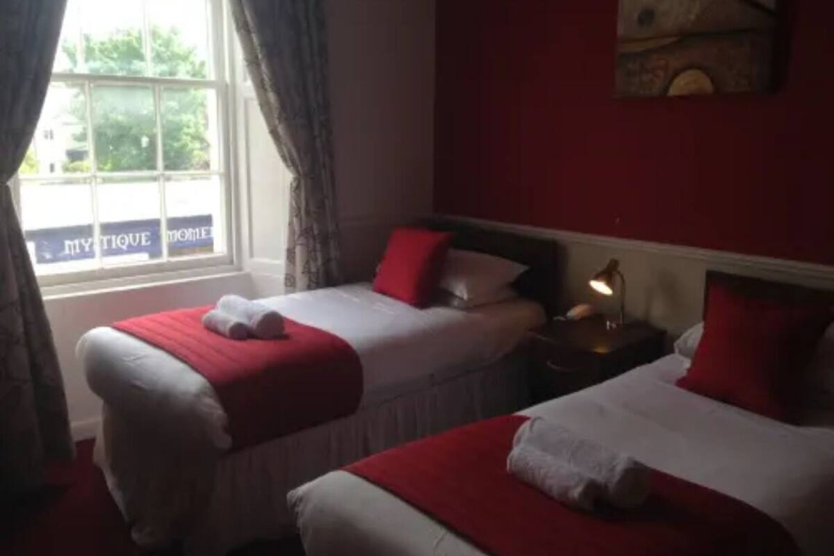 Twin Room | Iron/ironing board, free WiFi