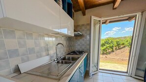 Una cocina con estufa a gas, pileta de acero inoxidable y vistas a un viñedo a través de una puerta abierta.