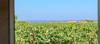 Casa Annarosa - Sorso