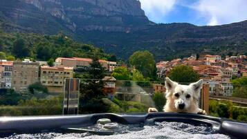 Bañera de hidromasaje al aire libre