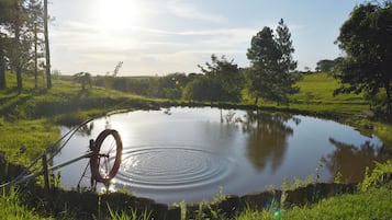 Pesca