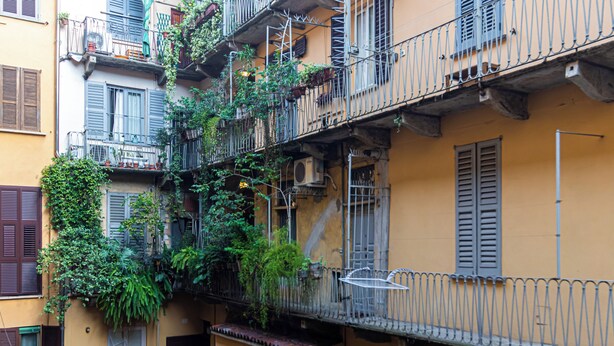 Un edificio de varios pisos con balcones, algunos con plantas y vegetación.