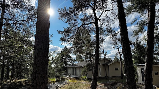 A pathway leading to a house surrounded by trees.
