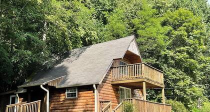 "By Still Waters" Serene cabin by pond in Hillsville