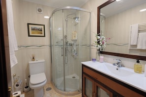 Hair dryer, towels, soap, toilet paper
