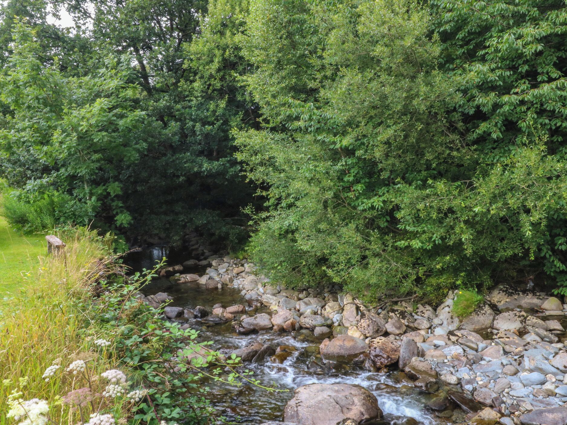 Un arroyo natural con rocas y vegetación.