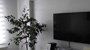 Un salon avec une plante en pot, un téléviseur à écran plat, un meuble sur lequel est posé un cadre photo et un radiateur.