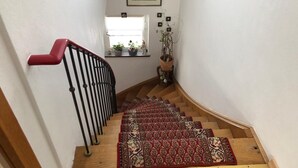 Un escalier avec une rampe rouge, une moquette à motifs et une fenêtre ornée de plantes.