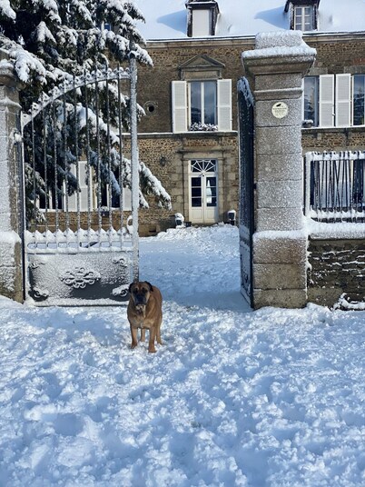 Château pour groupe 
