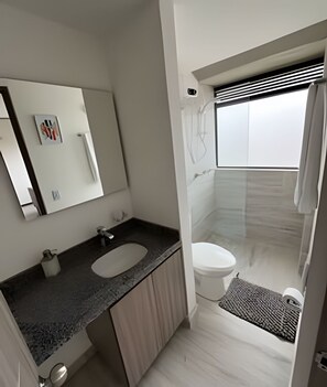 Classic Apartment | Bathroom | Shower, free toiletries, towels