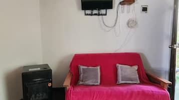Television