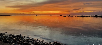 Oceanfront Artistic Escape in Cabuya