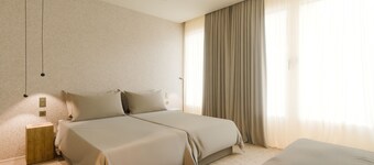 Nook Taro Santa Cruz