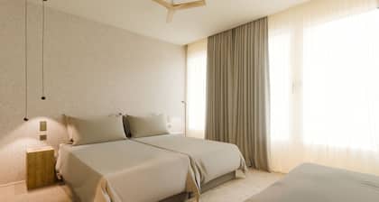 Nook Taro Santa Cruz