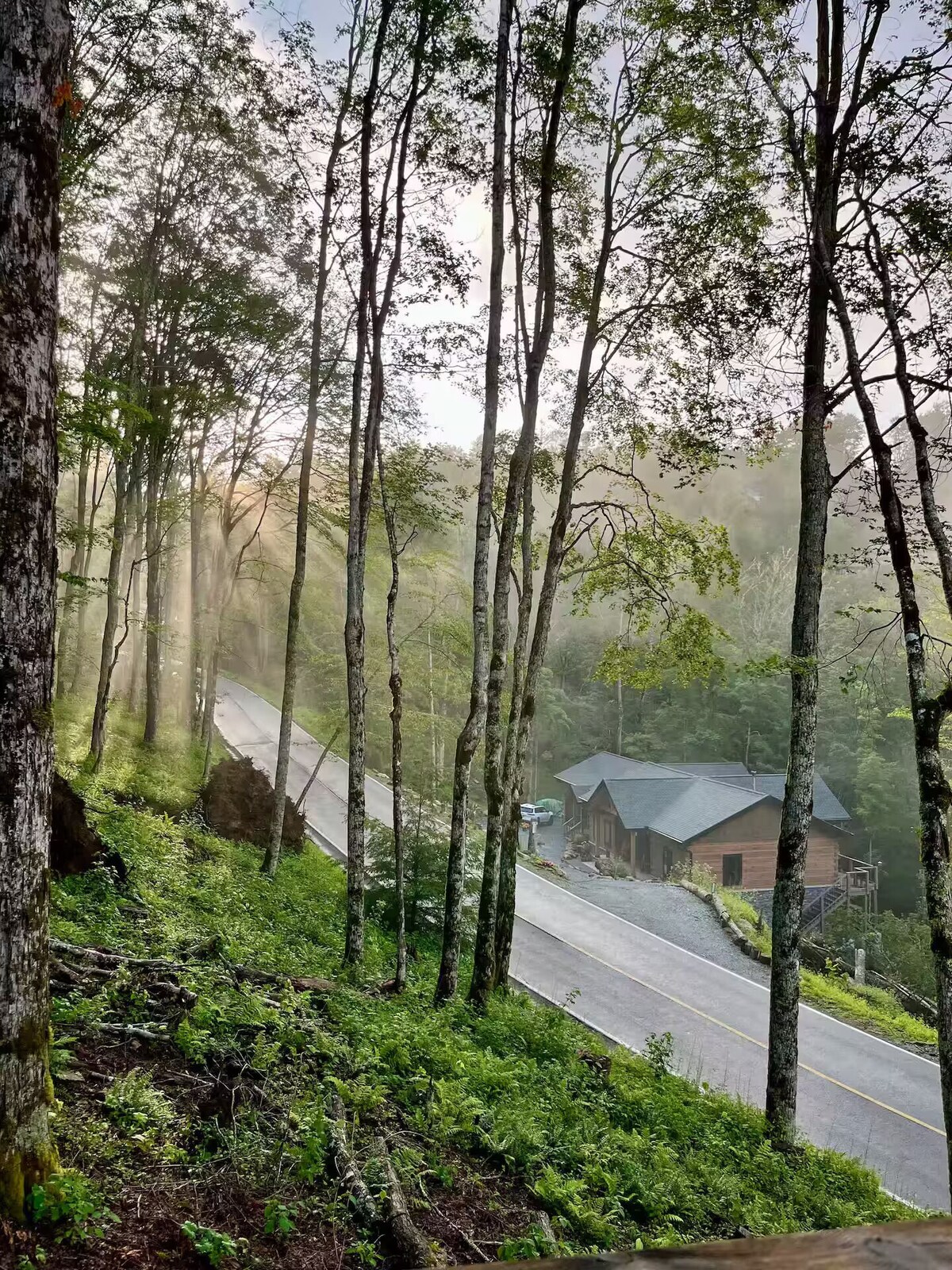 Imagen de perfil del propietario o de la propietaria