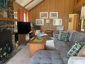 Smart TV, fireplace, DVD player, books