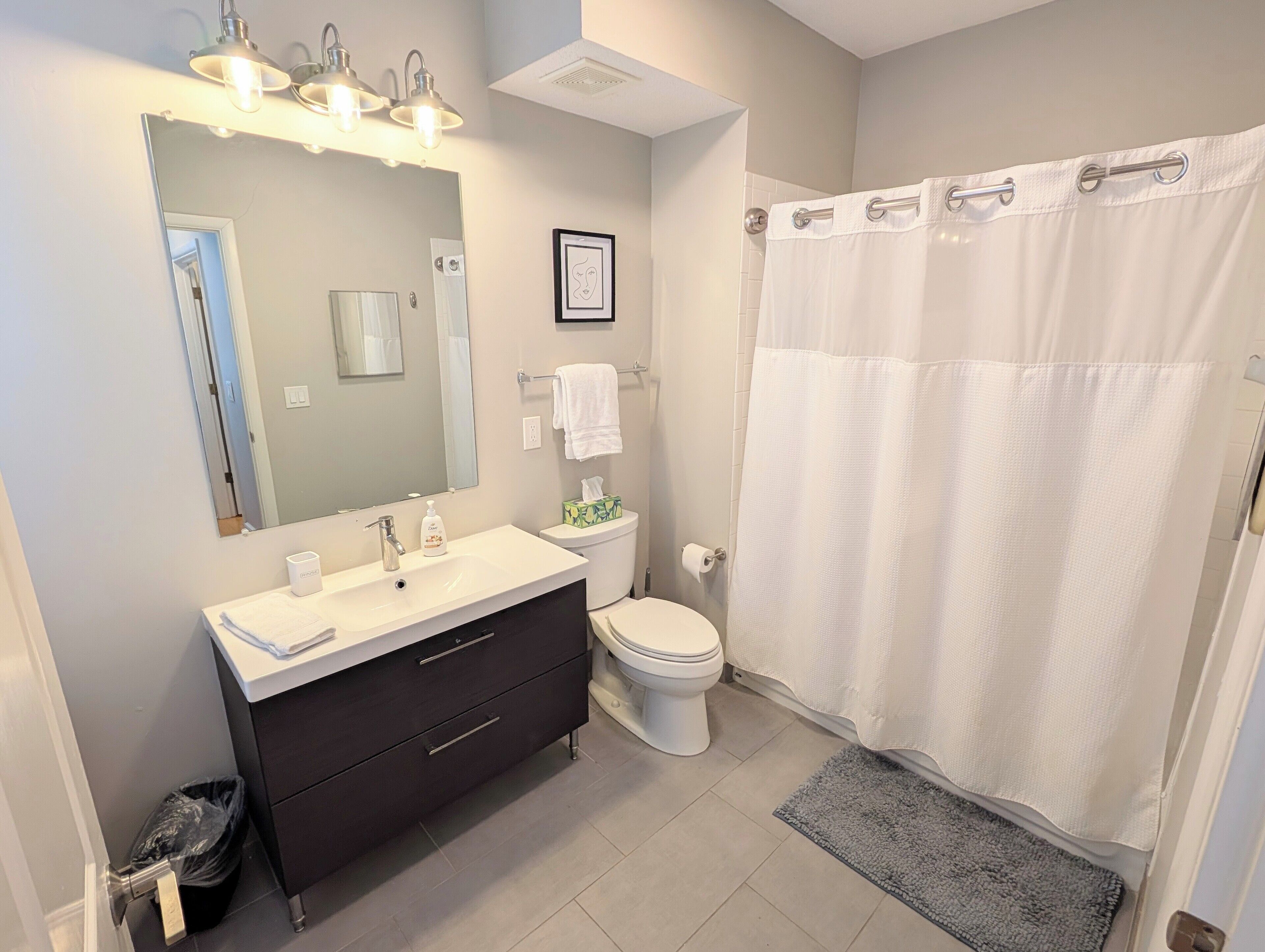 Hair dryer, towels, soap, toilet paper