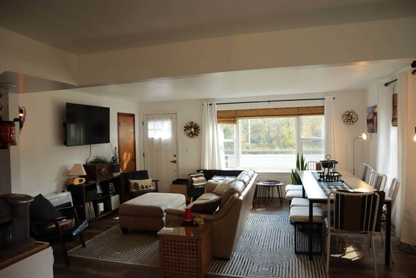 Smart TV, fireplace, books
