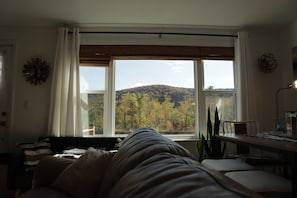 Smart-TV, Kamin, Bücher, Stereoanlage