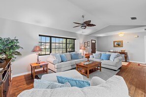 TV, fireplace, books