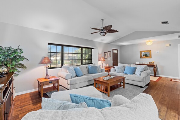 Televisión, chimenea y libros 