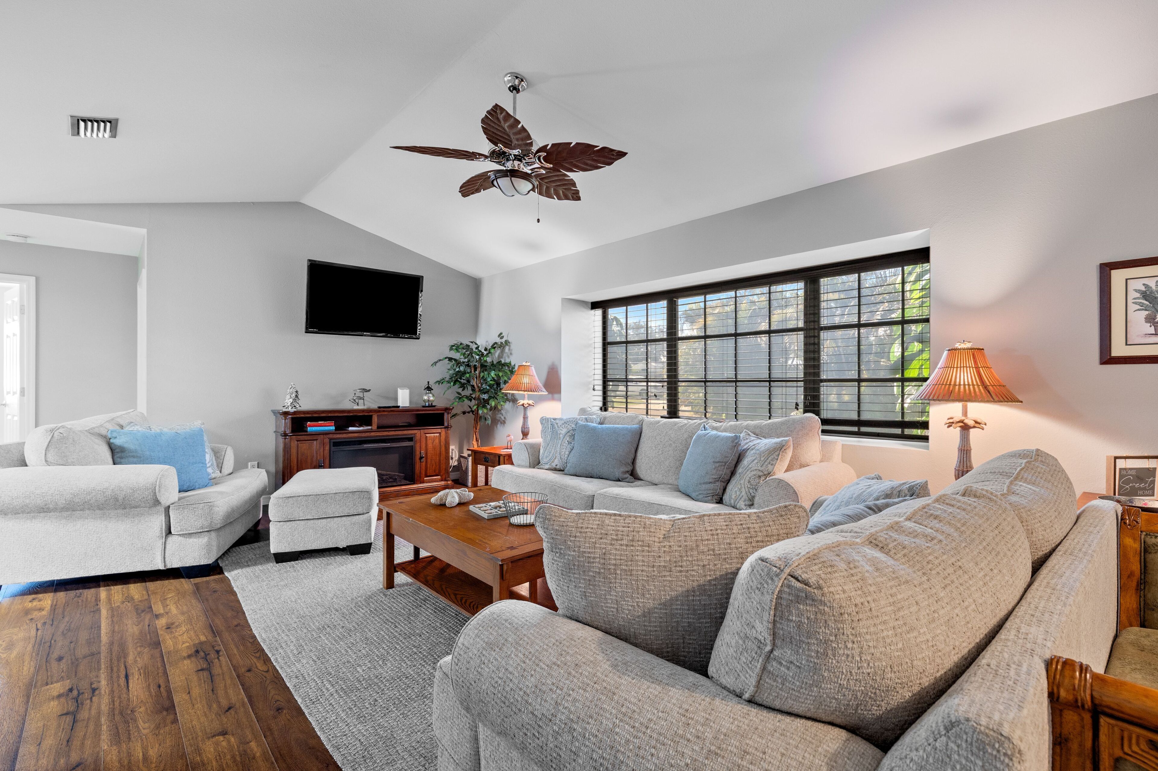 TV, fireplace, books