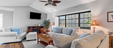 TV, fireplace, books