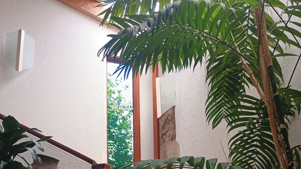 A wooden staircase with a white textured wall and a wooden handrail.