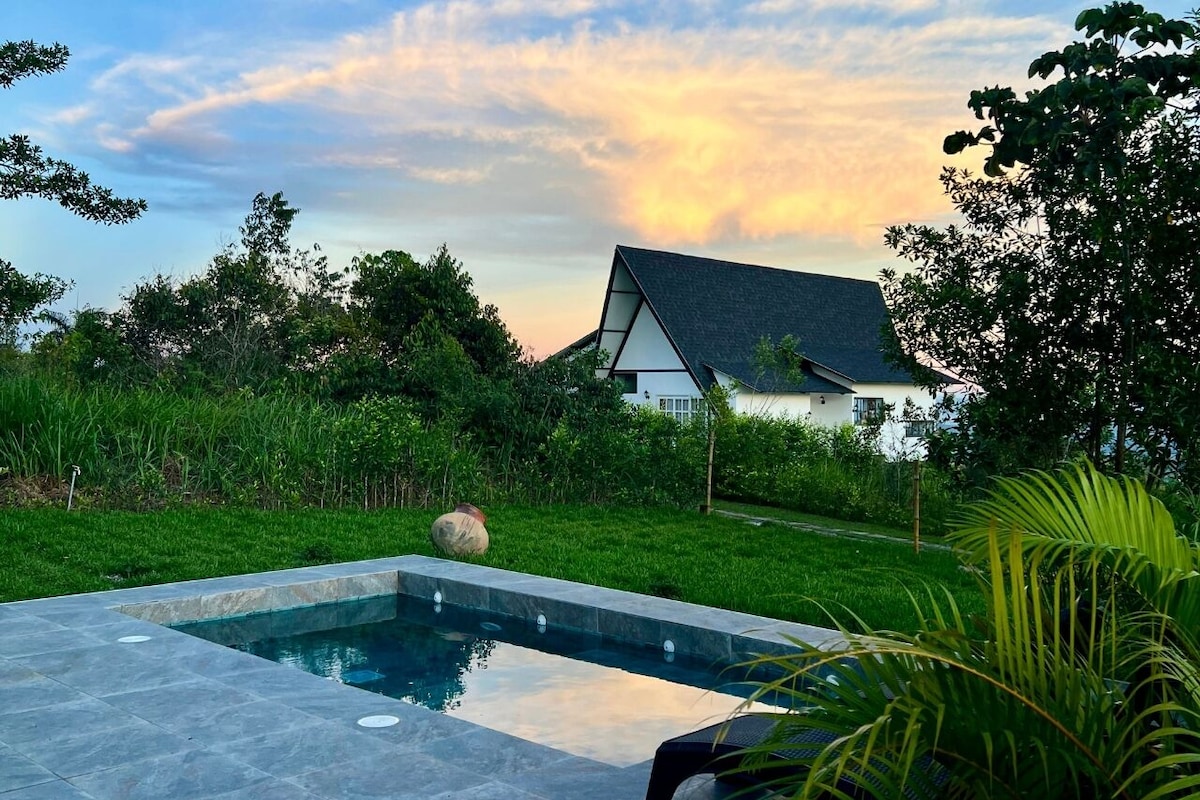 Una piscina rectangular amb vora de pedra, envoltada de vegetació exuberant i una casa al fons.