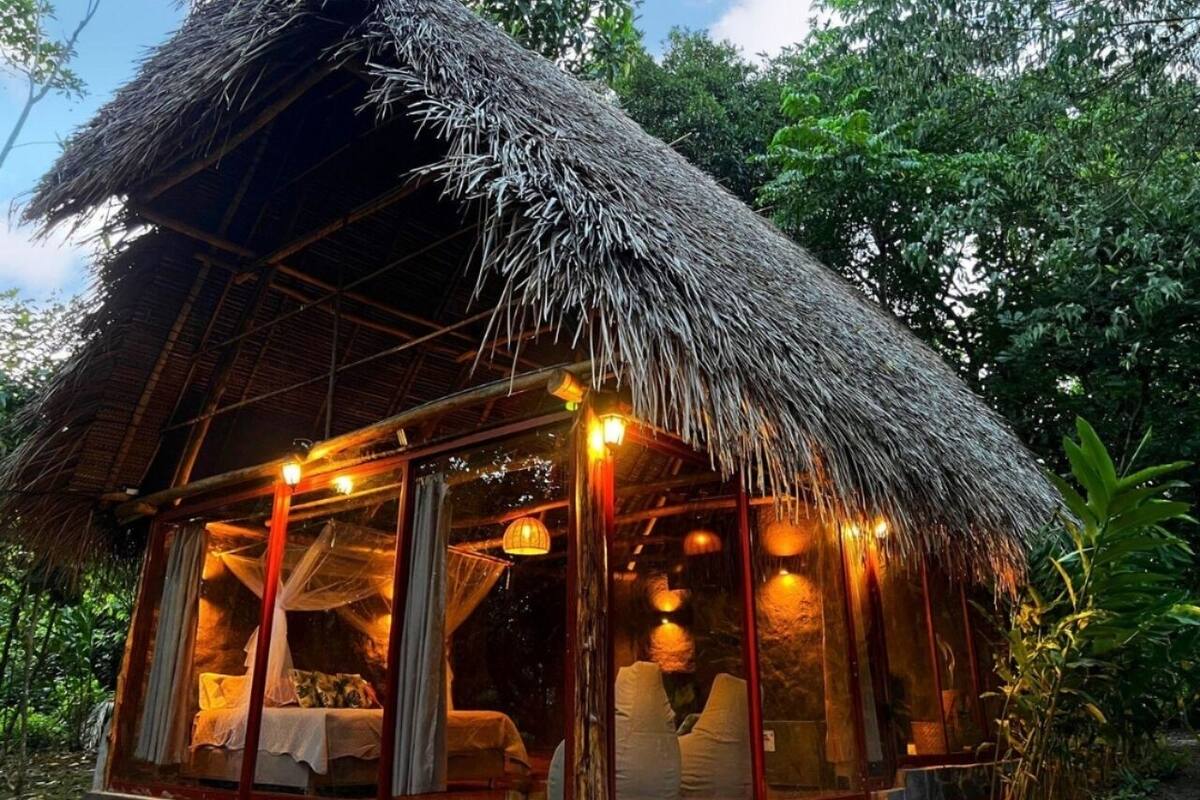Estructura con techo de paja y cerramiento de vidrio, una cama e iluminación ambiental.