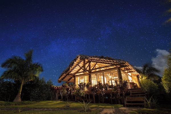 Sábanas de algodón egipcio, ropa de cama de alta calidad y cubrecamas