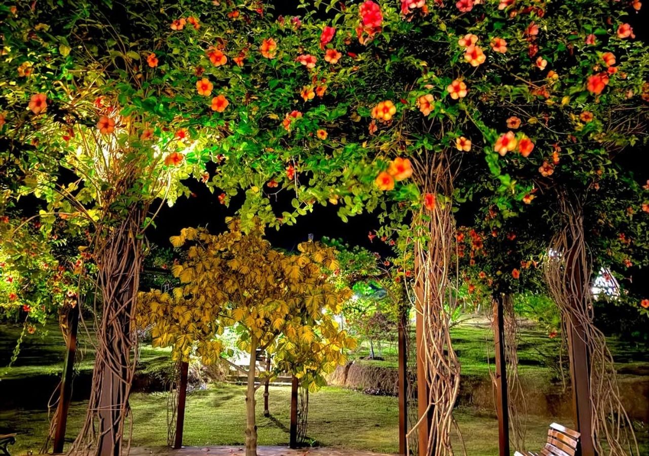 A garden with trees and flowering plants.