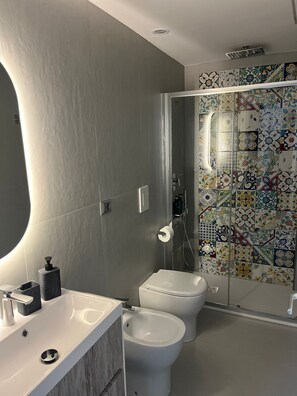 Shower, hair dryer, bidet, towels