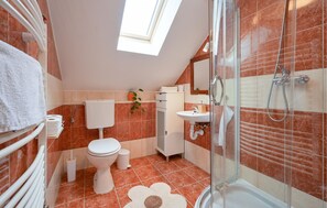 Shower, hair dryer
