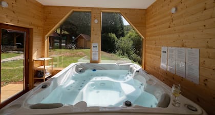 Amazing home in Veselici with sauna