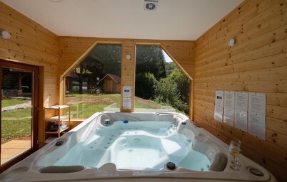 Amazing home in Veselici with sauna