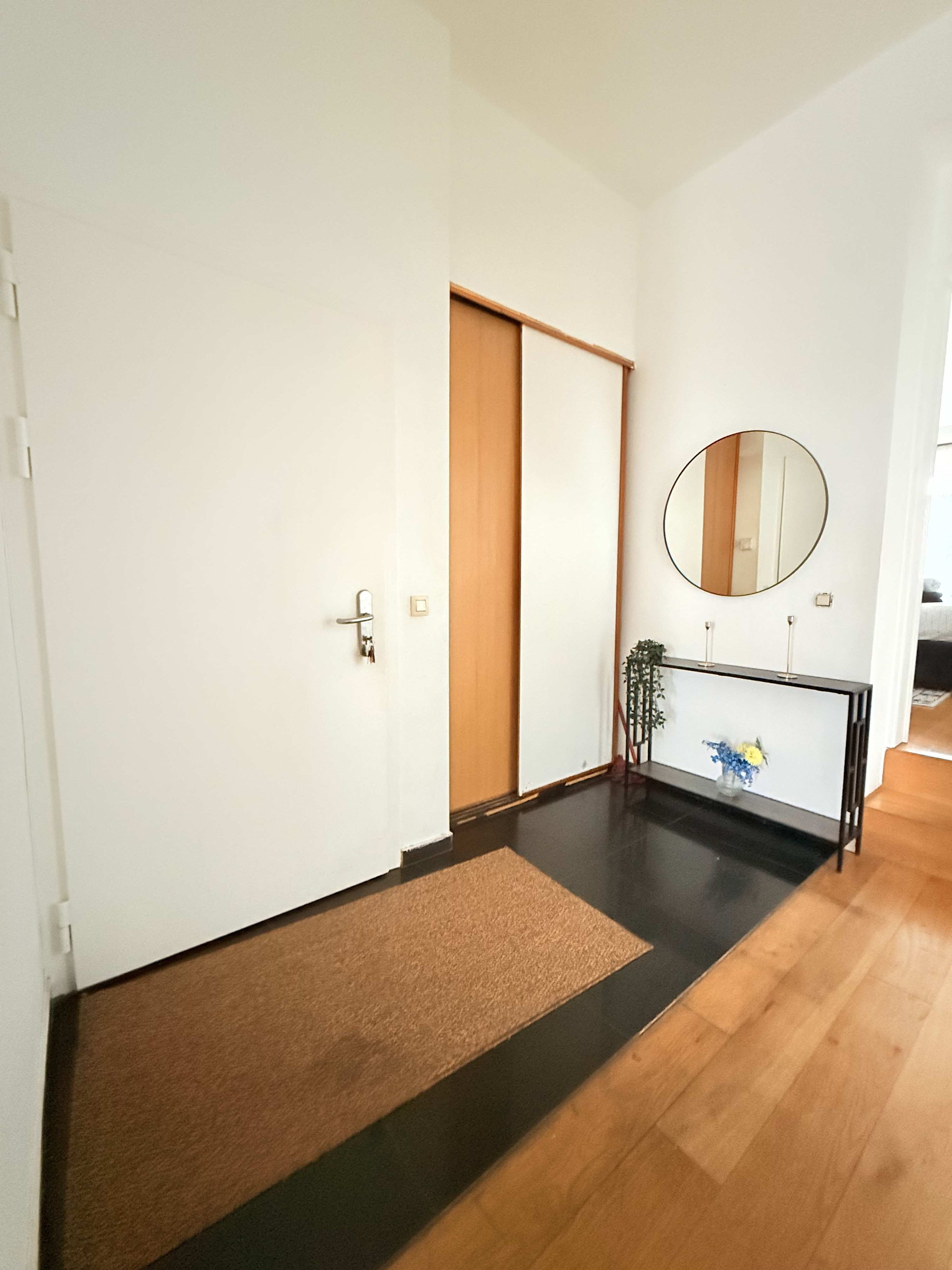 Un couloir avec une porte coulissante, un tapis noir et marron, une console avec un miroir et une plante.