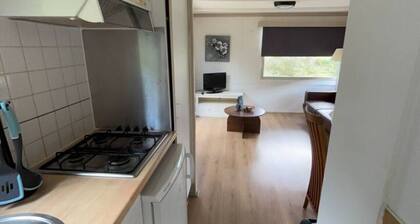 Fine chalet at Park Kniphorst