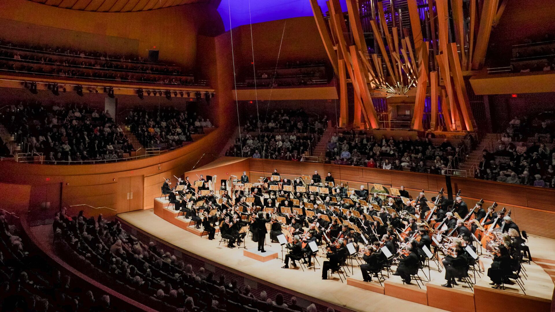 Una orquesta actuando en una gran sala de conciertos moderna con asientos escalonados y un escenario central.