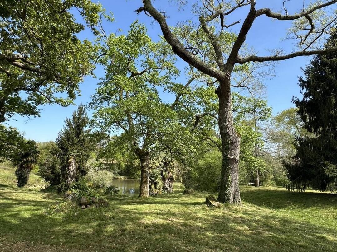 Un parc avec un grand arbre, un étang et divers autres arbres et arbustes.