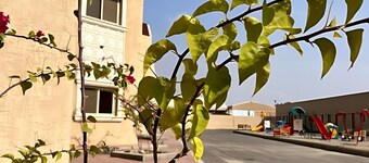 Saraya Inn Holiday Homes Chalets