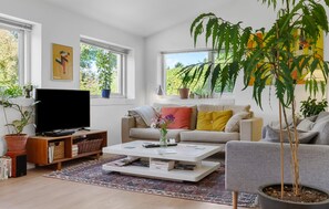 Smart-tv, een open haard en een stereo