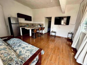 Căn hộ, 1 giường cỡ king và sofa giường, sân hiên, quang cảnh thành phố (Departamento 1BR) | Khu phòng khách