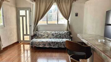 Apartment, 1 King Bed with Sofa bed, Patio, City View (Departamento 1BR) | Living area