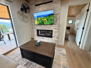 Smart TV, fireplace, books