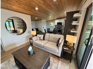 Smart TV, fireplace, books