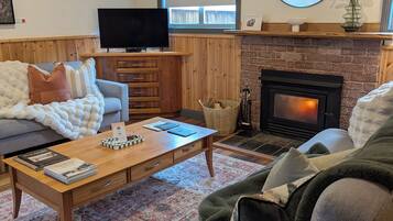 TV connectée, cheminée, lecteur de DVD, livres