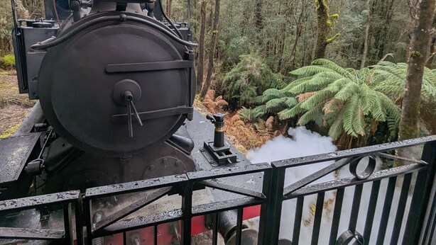 A steam locomotive with a large front wheel and a smaller rear wheel, surrounded by a forested area with ferns and trees.
