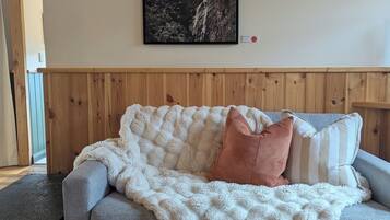 Smart TV, fireplace, DVD player, books